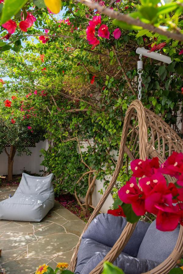 Nefeli'S Guesthouse In Platys Gialos Sifnos Platis Gialos  Exterior photo